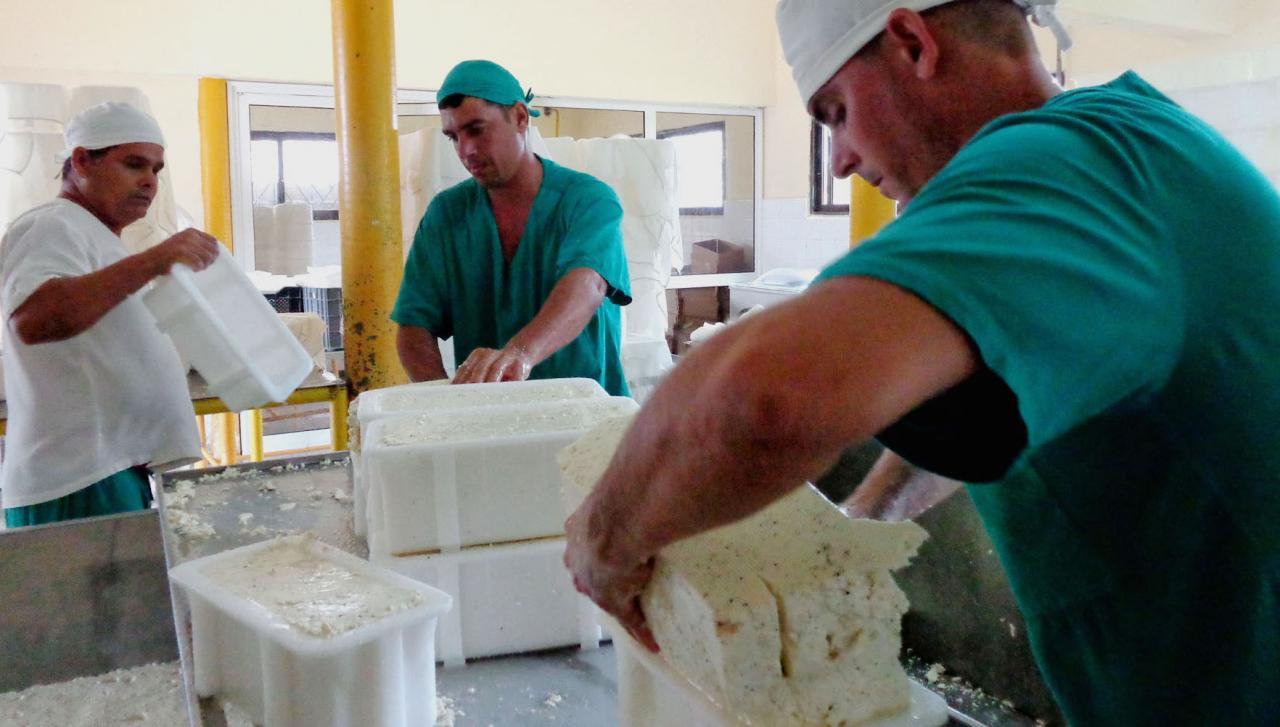 Fábrica de queso en Ciego de Ávila. (TV AVILA)