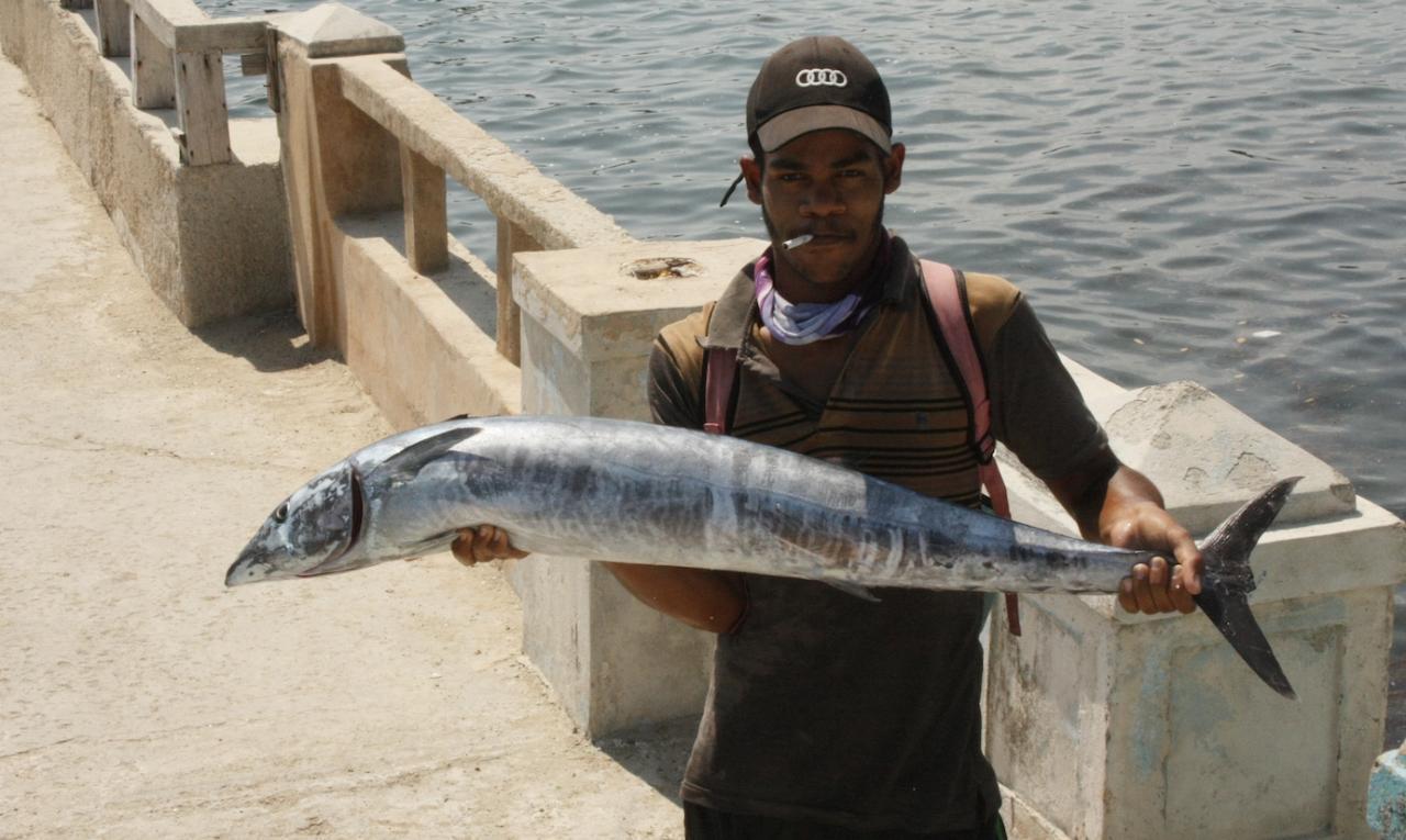 Pescador en La Habana. (DIARIO DE CUBA)